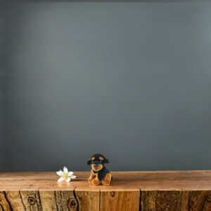 Hund - Sittande