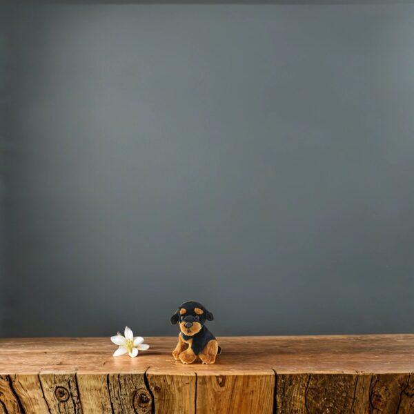 Hund - Sittande