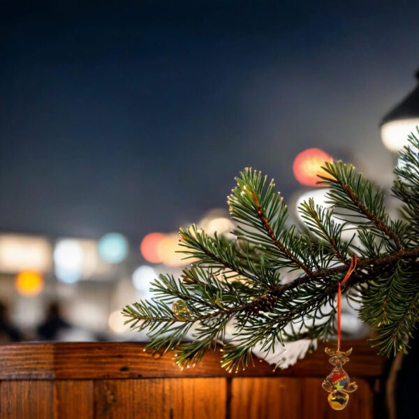 Juldekoration - Älg med Pingla